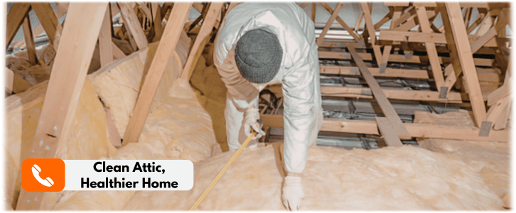 Attic Cleaning Boynton Beach